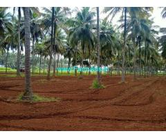 7 acres Coconut farm Land sale in Pollachi