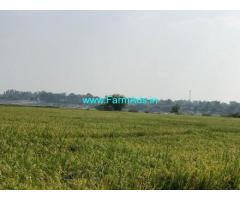 7.9 Acres Agriculture Land for Sale Atmakur near NH44
