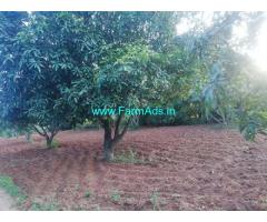 25 Acres Fruit Garden Land for Sale near Chittoor