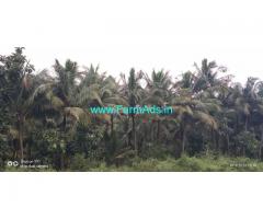27 Acres Agriculture Land for Sale Near Vathlakundu