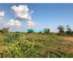10 Acres Agriculture Land for Sale near Sivaganga