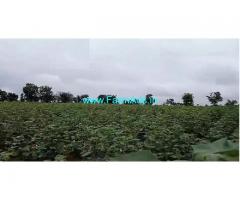 7 Acres Agriculture Land Sale near Mucharla Pharmacity,Srisailam High way