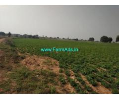4 Gunta Agriculture Land for Sale near Kadthal