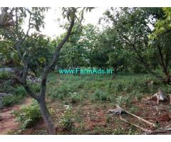 45 Acres Mango Estate for Sale near Gajapathinagaram