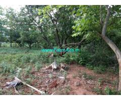45 Acres Mango Estate for Sale near Gajapathinagaram