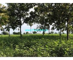 8 Acres Agriculture land sale near Nidamanoor,Nagarjuna sagar Canal