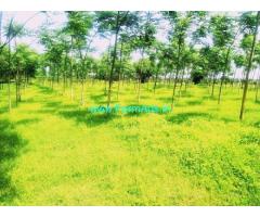 15 Acres Agriculture land for Sale near Siddipet