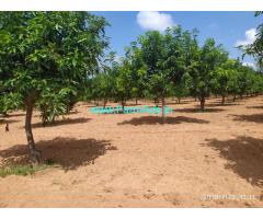 6.5 Acer Mango Farm Land, mango thottta for sale in yadadri bhonigir
