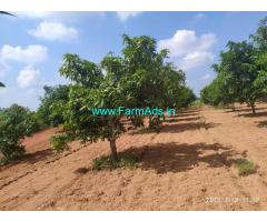 6.5 Acer Mango Farm Land, mango thottta for sale in yadadri bhonigir