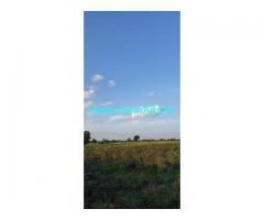 1 Acre Agriculture Land for Sale near Gulbarga