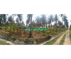 Bhadra Canal irrigated 10 Acres Agriculture Land for Sale near Bhadravathi