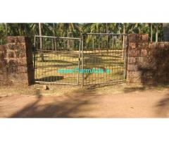 50 Cents Coconut Farm for Sale near Kankangad Periya,Bekal Fort