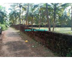 50 Cents Coconut Farm for Sale near Kankangad Periya,Bekal Fort