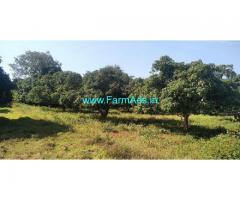 33 Guntas Mango Farm Land for Sale In Bogadhi Gaddige road