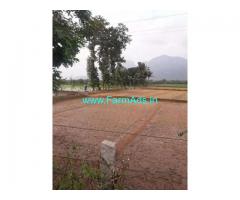 17 Acres Land for Sale near Nagalapuram,Chennai Tirupati NH