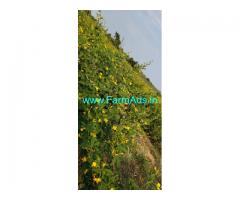 10 acres agriculture land for sale