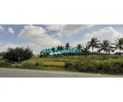 19 Gunta Agriculture Land for Sale on KRS Road