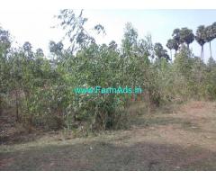 13 Acres Agriculture Land for Sale near Vizianagaram