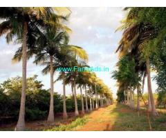 42 Acres Agriculture Land with House for Sale near Thanjavur