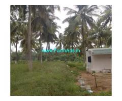 9.16 Acres Coconut Farm for Sale near Coimbatore