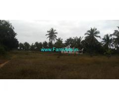 8 Acres Coconut Farm for sale at Chiknayakanahalli, Tumkur District