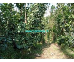 38 acre pepper plantation for sale in Hassan