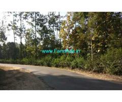 1.5 acre coffee estate for sale In Chikkamgaluru