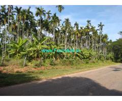 3 acre arecanut plantation for sale In Chikkamgaluru, Tarikere Road