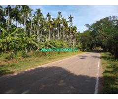 3 acre arecanut plantation for sale In Chikkamgaluru, Tarikere Road