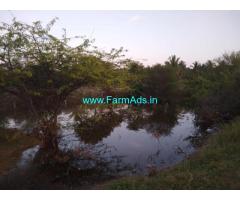 10 acre coconut plantation for sale In Shivani hobli Tarikere taluk