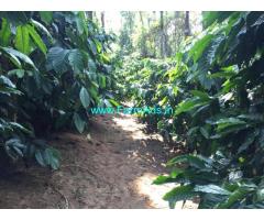 2.1 acre coffee estate for sale Just 3.5 km from mudigere city