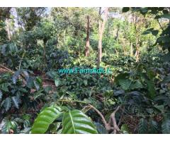4.26 acre coffee estate for sale in Mudigere 10 km from city