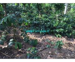 4.26 acre coffee estate for sale in Mudigere 10 km from city