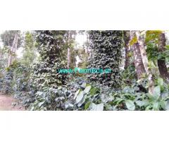 62 acres Coffee Estate for sale at Chikmagalur to Mudigere Road.