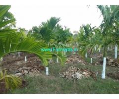 6 Acres Agriculture Farm Land for Sale near Mysore