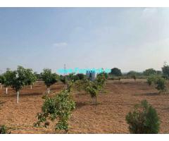 2 Acres Mango Farm Land for Sale at Amdapur