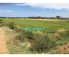 2 Acres Agriculture Land for Sale near Vidyanagar