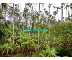 5.3 Acres Coffee Estate for Sale at Somwarpet