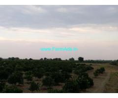 10.33 Acres Irrigated Farm Land for Sale near Anantpur