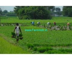 76 Acres Agriculture Land Sale Jangoan,Hyderabad Warangal Highway