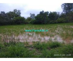 5 Acres Agriculture Land for Sale Khanapur,Bailur Kakkeri Road