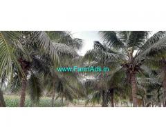1.50 Acres Coconut Farm Land for Sale near Gudimangalam