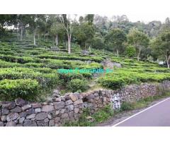 Low budget 2.02 Acres Tea Estate for Sale near Kotagiri