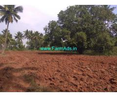 1 Acre Coconut Farm for sale at Hullahalli - Nanjangud
