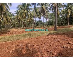 3 acres Yeilding coconut Farm with bore well for sale near Hiriyur, Maskal.