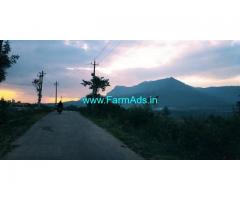 2 Acres Agriculture Land for Sale near Chikamagalur