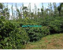 48 Acres Coffee Estate for Sale in Hassan