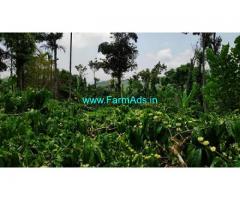 2.5 Acres Coffee Estate with Farm House For Sale at Chikmagalur