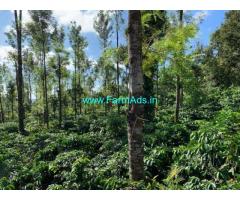 17 Acres Coffee Estate for Sale near Chikmagalur