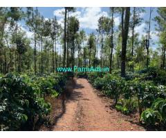 17 Acres Coffee Estate for Sale near Chikmagalur